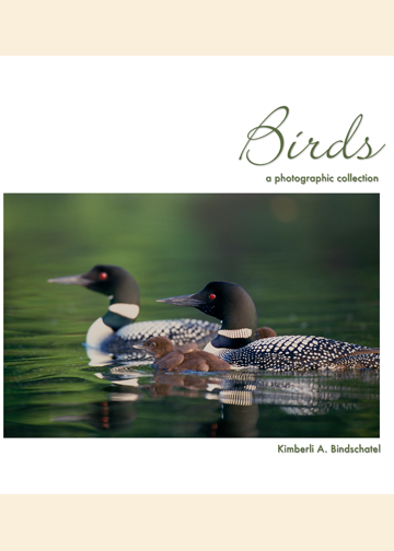 Birds: A Photographic Collection