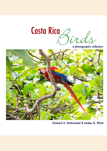 Costa Rica Birds: A Photographic Collection